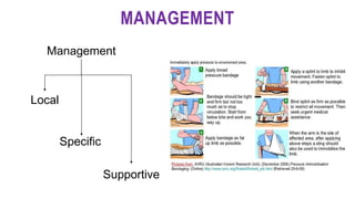 MANAGEMENT
Management
Local
Specific
Supportive
 