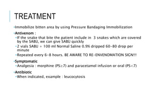 TREATMENT
•Immobilize bitten area by using Pressure Bandaging Immobilization
•Antivenom : DRUG OF CHOICE
•If the snake that bite the patient include in 3 snakes which are covered
by the SABU, we can give SABU quickly
•2 vials SABU + 100 ml Normal Saline 0.9% dripped 60-80 drop per
minute
•Repeated every 6-8 hours. BE AWARE TO RE-ENVENOMATION SIGN!!!
•Symptomatic
•Analgesia : morphine (PS≥7) and paracetamol infusion or oral (PS<7)
•Antibiotic
•When indicated, example : leucocytosis
 