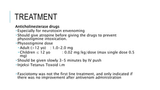 TREATMENT
Anticholinesterase drugs
 Especially for neurotoxin envenoming
 Should give atropine before giving the drugs to prevent
physostigmine intoxication.
 Physostigmine dose
 Adult (>12 yo) : 1.0-2.0 mg
 Children ≤ 12 yo : 0.02 mg/kg/dose (max single dose 0.5
mg)
 Should be given slowly 3-5 minutes by IV push
 Injeksi Tetanus Toxoid i.m
 Fasciotomy was not the first line treatment, and only indicated if
there was no improvement after antivenom administration
 