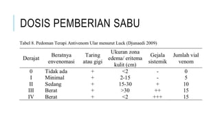DOSIS PEMBERIAN SABU
 