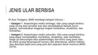 JENIS ULAR BERBISA
Di Asia Tenggara, WHO membagi kategori khusus :
- Kategori 1: Kepentingan medis tertinggi: Ular yang sangat berbisa
yang sering atau tersebar luas dan menyebabkan banyak kasus
gigitan, menimbulkan tingginya tingkat morbiditas, disabilitas, dan
mortalitas.
- Kategori 2: Kepentingan medis sekunder: Ular yang sangat berbisa
yang dapat menyebabkan morbiditas, disabilitas, atau mortalitas,
tetapi (a) kekurangan data epidemiologis dan klinis yang pasti atau
(b) lebih jarang berpengaruh karena sifat alamiahnya, pilihan habitat
atau dijumpai pada area yang jauh dari populasi besar manusia (WHO
2010).
 