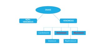 SNAKE
NON-
VENOMOUS
VENOMOUS
Cardiotoxin Hemotoxin Neurotoxin
Nephrotoxin
Sitotoxin
 