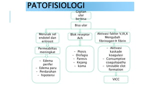 PATOFISIOLOGI
Gigitan
ular
berbisa
Bisa ular
Merusak sel
endotel dan
eritrosit
Blok reseptor
Ach
Aktivasi faktor V,IX,X
Mengubah
fibrinogen fibrin
Permeabiltas
meningkat
- Edema
perifer
- Edema paru
- Perdarahan
- hipotensi
- Ptosis
- Disfagia
- Paresis
- Kejang
- koma
- Aktivasi
kaskade
koagulasi
- Consumptive
coagulopathy
- Unstable clot
formation
VICC
 