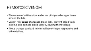 HEMOTOXIC VENOM
• The venom of rattlesnakes and other pit vipers damages tissue
around the bite.
• Venom may cause changes in blood cells, prevent blood from
clotting, and damage blood vessels, causing them to leak.
• These changes can lead to internal hemorrhage, respiratory, and
kidney failure.
 