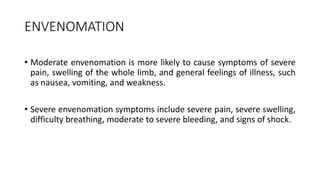 ENVENOMATION
• Moderate envenomation is more likely to cause symptoms of severe
pain, swelling of the whole limb, and general feelings of illness, such
as nausea, vomiting, and weakness.
• Severe envenomation symptoms include severe pain, severe swelling,
difficulty breathing, moderate to severe bleeding, and signs of shock.
 