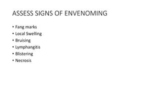 ASSESS SIGNS OF ENVENOMING
• Fang marks
• Local Swelling
• Bruising
• Lymphangitis
• Blistering
• Necrosis
 
