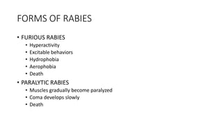 FORMS OF RABIES
• FURIOUS RABIES
• Hyperactivity
• Excitable behaviors
• Hydrophobia
• Aerophobia
• Death
• PARALYTIC RABIES
• Muscles gradually become paralyzed
• Coma develops slowly
• Death
 