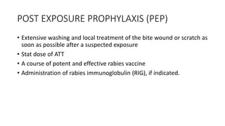 POST EXPOSURE PROPHYLAXIS (PEP)
• Extensive washing and local treatment of the bite wound or scratch as
soon as possible after a suspected exposure
• Stat dose of ATT
• A course of potent and effective rabies vaccine
• Administration of rabies immunoglobulin (RIG), if indicated.
 