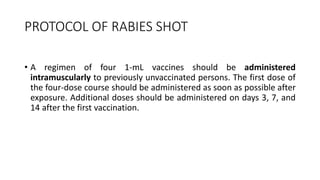 PROTOCOL OF RABIES SHOT
• A regimen of four 1-mL vaccines should be administered
intramuscularly to previously unvaccinated persons. The first dose of
the four-dose course should be administered as soon as possible after
exposure. Additional doses should be administered on days 3, 7, and
14 after the first vaccination.
 