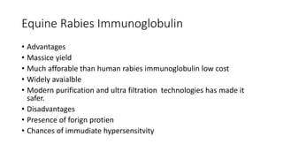 Equine Rabies Immunoglobulin
• Advantages
• Massice yield
• Much afforable than human rabies immunoglobulin low cost
• Widely avaialble
• Modern purification and ultra filtration technologies has made it
safer.
• Disadvantages
• Presence of forign protien
• Chances of immudiate hypersensitvity
 