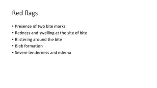 Red flags
• Presence of two bite marks
• Redness and swelling at the site of bite
• Blistering around the bite
• Bleb formation
• Severe tenderness and edema
 