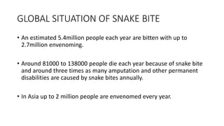 GLOBAL SITUATION OF SNAKE BITE
• An estimated 5.4million people each year are bitten with up to
2.7million envenoming.
• Around 81000 to 138000 people die each year because of snake bite
and around three times as many amputation and other permanent
disabilities are caused by snake bites annually.
• In Asia up to 2 million people are envenomed every year.
 