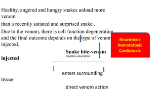 SNAKE BITE (penanganan dan juga pertolongan pertama pada gigitan ular).pptx