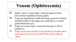 Snake Bite in Veterinary Forensic Medicine.ppt