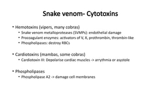 Snake venom- Cytotoxins
• Hemotoxins (vipers, many cobras)
• Snake venom metalloproteases (SVMPs): endothelial damage
• Procoagulant enzymes: activators of V, X, prothrombin, thrombin-like
• Phospholipases: destroy RBCs
• Cardiotoxins (mambas, some cobras)
• Cardiotoxin III: Depolarise cardiac muscles -> arrythmia or asystole
• Phospholipases
• Phospholipase A2 -> damage cell membranes
 