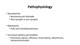 Pathophysiology
• Neurotoxicity
• Neuromuscular blockade
• Post-synaptic or pre-synaptic
• Myotoxicity
• PLA2 and metalloproteinases
• Increased capillary permeability
• Pulmonary edema, effusions, facial edema, albuminuria,
hemoconcentration
 