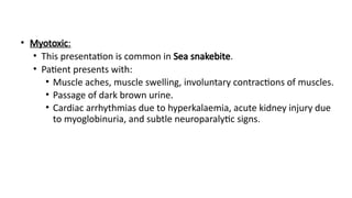 • Myotoxic:
• This presentation is common in Sea snakebite.
• Patient presents with:
• Muscle aches, muscle swelling, involuntary contractions of muscles.
• Passage of dark brown urine.
• Cardiac arrhythmias due to hyperkalaemia, acute kidney injury due
to myoglobinuria, and subtle neuroparalytic signs.
 