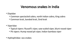 Venomous snakes in India
• Elapidae
• Common spectacled cobra, north Indian cobra, King cobra
• Common krait, banded krait, Sind krait
• Viperidae
• Typical vipers: Russell’s viper, saw-scaled viper, blunt nosed viper
• Pit vipers: Hump nosed pit viper, Indian bamboo viper
• Hydrophiidae: sea snakes
 