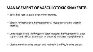 • Strict bed rest to avoid even minor trauma.
• Screen for hematuria, hemoglobinuria, myoglobinuria by Dipstick
method.
• Centrifuged urine showing pink color indicates hemoglobinuria, clear
supernatant (RBCs settle down as deposit) indicates myoglobinuria.
• Closely monitor urine output and maintain 1 ml/kg/h urine output.
MANAGEMENT OF VASCULOTOXIC SNAKEBITE:
 