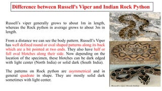 SNAKE BITE WITH DEFERENT SPCIES AND SUMPTOMES | PPTX