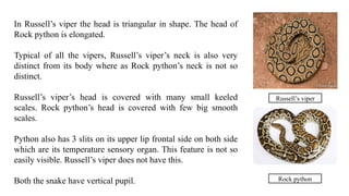 SNAKE BITE WITH DEFERENT SPCIES AND SUMPTOMES | PPTX