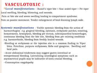 VASCULOTOXIC :
Local manifestations – Russel’s viper bite > Saw scaled viper > Pit viper
Local swelling, bleeding, blistering, and necrosis.
Pain at bite site and severe swelling leading to compartment syndrome.
Pain on passive movement. Tender enlargement of local draining lymph node.
Systemic manifestations – Visible systemic bleeding from the action of
haemorrhagins e.g. gingival bleeding, epistaxis, ecchymotic patches, vomiting,
hematemesis, hemoptysis, bleeding per rectum, subconjunctival hemorrhages,
continuous bleeding from the bite site, bleeding from pre- existing conditions
e.g. haemorrhoids, bleeding from freshly healed wounds.
- -Bleeding or ecchymosis at the injection site is a common finding in Viper
bites. Petechiae, purpura ecchymoses, blebs and gangrene. Swelling and
local pain.
- --Acute abdominal tenderness may suggest gastro-intestinal or
retroperitoneal bleeding. Lateralizing neurological symptoms such as
asymmetrical pupils may be indicative of intra-cranial bleeding.
- --Consumption coagulopathy
 