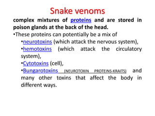 Snake venoms
complex mixtures of proteins and are stored in
poison glands at the back of the head.
•These proteins can potentially be a mix of
•neurotoxins (which attack the nervous system),
•hemotoxins (which attack the circulatory
system),
•Cytotoxins (cell),
•Bungarotoxins (NEUROTOXIN PROTEINS-KRAITS) and
many other toxins that affect the body in
different ways.
 