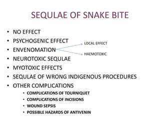 SEQULAE OF SNAKE BITE
• NO EFFECT
• PSYCHOGENIC EFFECT
• ENVENOMATION
• NEUROTOXIC SEQULAE
• MYOTOXIC EFFECTS
• SEQULAE OF WRONG INDIGENOUS PROCEDURES
• OTHER COMPLICATIONS
• COMPLICATIONS OF TOURNIQUET
• COMPLICATIONS OF INCISIONS
• WOUND SEPSIS
• POSSIBLE HAZARDS OF ANTIVENIN
LOCAL EFFECT
HAEMOTOXIC
 