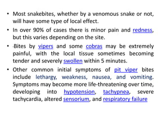 • Most snakebites, whether by a venomous snake or not,
will have some type of local effect.
• In over 90% of cases there is minor pain and redness,
but this varies depending on the site.
• Bites by vipers and some cobras may be extremely
painful, with the local tissue sometimes becoming
tender and severely swollen within 5 minutes.
• Other common initial symptoms of pit viper bites
include lethargy, weakness, nausea, and vomiting.
Symptoms may become more life-threatening over time,
developing into hypotension, tachypnea, severe
tachycardia, altered sensorium, and respiratory failure
 