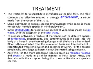TREATMENT
• The treatment for a snakebite is as variable as the bite itself. The most
common and effective method is through antivenom, a serum
made from the venom of the snake.
• Some antivenom is species specific (monovalent) while some is made
for use with multiple species in mind (polyvalent).
• In the United States for example, all species of venomous snakes are pit
vipers, with the exception of the coral snake.
• To produce antivenin, a mixture of the venoms of the different species
of rattlesnakes, copperheads, and cottonmouths is injected into the
body of a horse in ever-increasing dosages until the horse is immunized.
Blood is then extracted from the immunized horse and freeze-dried. It is
reconstituted with sterile water and becomes antivenin. For this reason,
people who are allergic to horses cannot be treated using antivenin.
• Antivenin for the more dangerous species (such as mambas, taipans,
and cobras) is made in a similar manner in India, South Africa, and
Australia with the exception being that those antivenins are species-
specific.
 