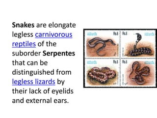 Snakes are elongate
legless carnivorous
reptiles of the
suborder Serpentes
that can be
distinguished from
legless lizards by
their lack of eyelids
and external ears.
 