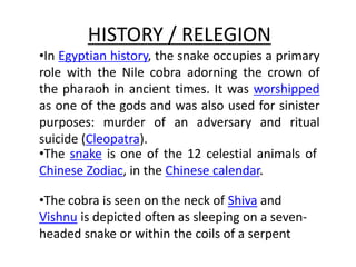 HISTORY / RELEGION
•In Egyptian history, the snake occupies a primary
role with the Nile cobra adorning the crown of
the pharaoh in ancient times. It was worshipped
as one of the gods and was also used for sinister
purposes: murder of an adversary and ritual
suicide (Cleopatra).
•The snake is one of the 12 celestial animals of
Chinese Zodiac, in the Chinese calendar.
•The cobra is seen on the neck of Shiva and
Vishnu is depicted often as sleeping on a seven-
headed snake or within the coils of a serpent
 