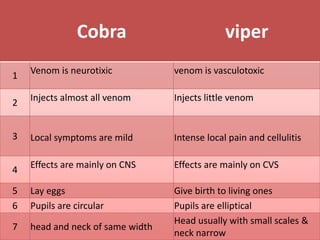 Cobra viper
1 Venom is neurotixic venom is vasculotoxic
2
Injects almost all venom Injects little venom
3 Local symptoms are mild Intense local pain and cellulitis
4 Effects are mainly on CNS Effects are mainly on CVS
5 Lay eggs Give birth to living ones
6 Pupils are circular Pupils are elliptical
7 head and neck of same width
Head usually with small scales &
neck narrow
 