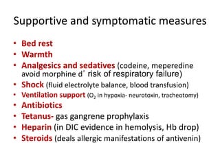 Supportive and symptomatic measures
• Bed rest
• Warmth
• Analgesics and sedatives (codeine, meperedine
avoid morphine d˚ risk of respiratory failure)
• Shock (fluid electrolyte balance, blood transfusion)
• Ventilation support (O2 in hypoxia- neurotoxin, tracheotomy)
• Antibiotics
• Tetanus- gas gangrene prophylaxis
• Heparin (in DIC evidence in hemolysis, Hb drop)
• Steroids (deals allergic manifestations of antivenin)
 