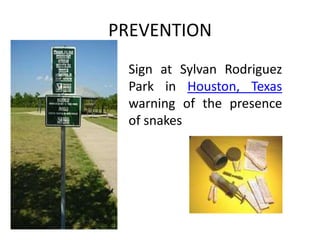 PREVENTION
Sign at Sylvan Rodriguez
Park in Houston, Texas
warning of the presence
of snakes
 