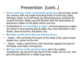 Prevention (cont..)
• 1) Any unknown snake is potentially dangerous; do not play, avoid
any contact with any snake including those of small size, baby,
lethargic, dead. A cut off head can keep poisonous activities for
several minutes. Make yourself familiar with the description of
poisonous snakes in the place where you live.
• 2) Attention!!! Use torchlight at night – all local poisonous snakes
are active in the evening and at night. Pay more attention in the
forest, close to bushes, tall plants, etc.
• 3) Snakes usually don't bite you without alarm:
• - Cobra – lifts vertically front part of the body (1/3), opens hood,
makes hiss, rushes to the aim.
• - Vipers - make a spiral from a tail, bend like zigzag front part of
the body, and make a strong hiss.
• 4) If you meet a snake, go back slowly, don't do sudden
movements, do not turn your back to the snake, do not run, and
give the possibility for a snake to go away
 