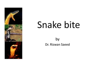 Snake bite
by
Dr. Rizwan Saeed
 