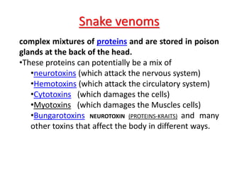 Snake venoms
complex mixtures of proteins and are stored in poison
glands at the back of the head.
•These proteins can potentially be a mix of
•neurotoxins (which attack the nervous system)
•Hemotoxins (which attack the circulatory system)
•Cytotoxins (which damages the cells)
•Myotoxins (which damages the Muscles cells)
•Bungarotoxins NEUROTOXIN (PROTEINS-KRAITS) and many
other toxins that affect the body in different ways.
 