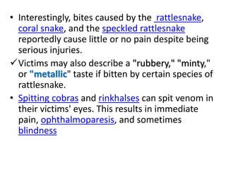 • Interestingly, bites caused by the rattlesnake,
coral snake, and the speckled rattlesnake
reportedly cause little or no pain despite being
serious injuries.
Victims may also describe a "rubbery," "minty,"
or "metallic" taste if bitten by certain species of
rattlesnake.
• Spitting cobras and rinkhalses can spit venom in
their victims' eyes. This results in immediate
pain, ophthalmoparesis, and sometimes
blindness
 