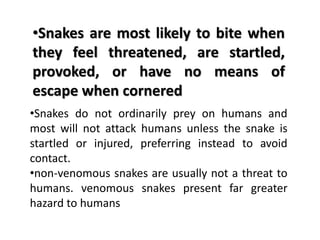 •Snakes do not ordinarily prey on humans and
most will not attack humans unless the snake is
startled or injured, preferring instead to avoid
contact.
•non-venomous snakes are usually not a threat to
humans. venomous snakes present far greater
hazard to humans
•Snakes are most likely to bite when
they feel threatened, are startled,
provoked, or have no means of
escape when cornered
 