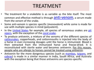 TREATMENT
• The treatment for a snakebite is as variable as the bite itself. The most
common and effective method is through anti-venom, a serum made
from the venom of the snake.
• Some anti-venom is species specific (monovalent) while some is made for
use with multiple species in mind (polyvalent).
• In the United States for example, all species of venomous snakes are pit
vipers, with the exception of the coral snake.
• To produce antivenin, a mixture of the venoms of the different species of
rattlesnakes, copperheads, and cottonmouths is injected into the body of
a horse in ever-increasing dosages until the horse is immunized. Blood is
then extracted from the immunized horse and freeze-dried. It is
reconstituted with sterile water and becomes antivenin. For this reason,
people who are allergic to horses cannot be treated using antivenin.
• Antivenin for the more dangerous species (such as mambas, taipans, and
cobras) is made in a similar manner in India, South Africa, and Australia
with the exception being that those antivenins are species-specific.
 