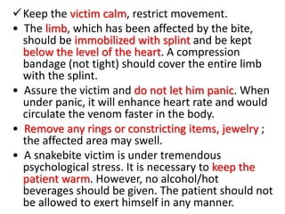 Keep the victim calm, restrict movement.
• The limb, which has been affected by the bite,
should be immobilized with splint and be kept
below the level of the heart. A compression
bandage (not tight) should cover the entire limb
with the splint.
• Assure the victim and do not let him panic. When
under panic, it will enhance heart rate and would
circulate the venom faster in the body.
• Remove any rings or constricting items, jewelry ;
the affected area may swell.
• A snakebite victim is under tremendous
psychological stress. It is necessary to keep the
patient warm. However, no alcohol/hot
beverages should be given. The patient should not
be allowed to exert himself in any manner.
 