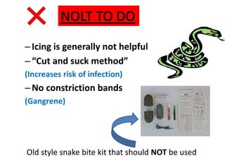 –Icing is generally not helpful
–“Cut and suck method”
(Increases risk of infection)
–No constriction bands
(Gangrene)
Old style snake bite kit that should NOT be used
NOLT TO DO
 