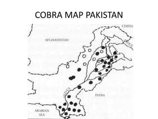 COBRA MAP PAKISTAN
 