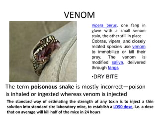 VENOM
The term poisonous snake is mostly incorrect—poison
is inhaled or ingested whereas venom is injected
Vipera berus, one fang in
glove with a small venom
stain, the other still in place
Cobras, vipers, and closely
related species use venom
to immobilize or kill their
prey. The venom is
modified saliva, delivered
through fangs
•DRY BITE
The standard way of estimating the strength of any toxin is to inject a thin
solution into standard size laboratory mice, to establish a LD50 dose, i.e. a dose
that on average will kill half of the mice in 24 hours
 