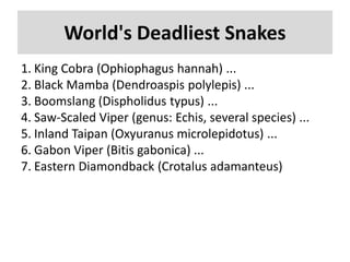 World's Deadliest Snakes
1. King Cobra (Ophiophagus hannah) ...
2. Black Mamba (Dendroaspis polylepis) ...
3. Boomslang (Dispholidus typus) ...
4. Saw-Scaled Viper (genus: Echis, several species) ...
5. Inland Taipan (Oxyuranus microlepidotus) ...
6. Gabon Viper (Bitis gabonica) ...
7. Eastern Diamondback (Crotalus adamanteus)
 