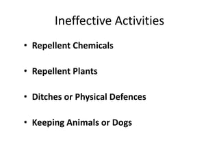 Ineffective Activities
• Repellent Chemicals
• Repellent Plants
• Ditches or Physical Defences
• Keeping Animals or Dogs
 