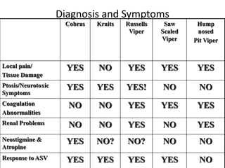 Diagnosis and Symptoms
Cobras Kraits Russells
Viper
Saw
Scaled
Viper
Hump
nosed
Pit Viper
Local pain/
Tissue Damage
YES NO YES YES YES
Ptosis/Neurotoxic
Symptoms
YES YES YES! NO NO
Coagulation
Abnormalities
NO NO YES YES YES
Renal Problems NO NO YES NO YES
Neostigmine &
Atropine
YES NO? NO? NO NO
Response to ASV YES YES YES YES NO
 