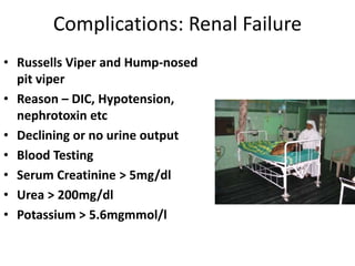 Complications: Renal Failure
• Russells Viper and Hump-nosed
pit viper
• Reason – DIC, Hypotension,
nephrotoxin etc
• Declining or no urine output
• Blood Testing
• Serum Creatinine > 5mg/dl
• Urea > 200mg/dl
• Potassium > 5.6mgmmol/l
 