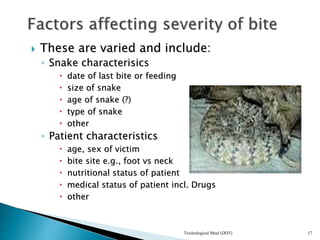 Photo inspiration: Fresh Look at Snakebite In Zimbabwe Venomous Snakes And Management